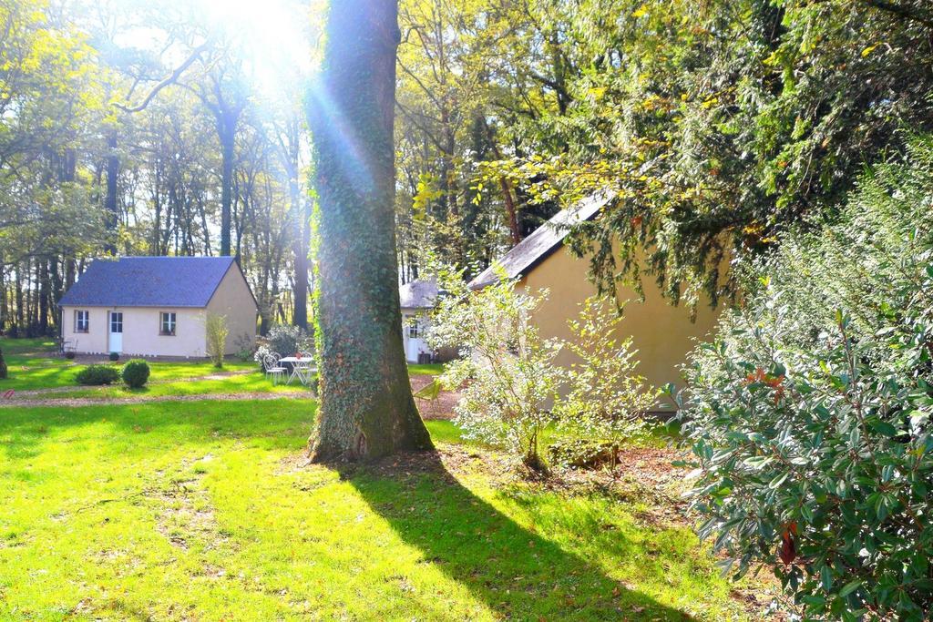 Hotel Les Grands Chenes Saint-Fargeau  Bilik gambar